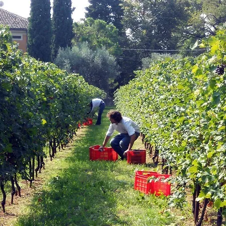 Corte San Mattia Vakantieboerderij
